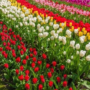 Meet your Posher, Eunice